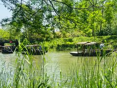 -溱湖国家湿地公园