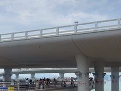 -演武大桥观景平台