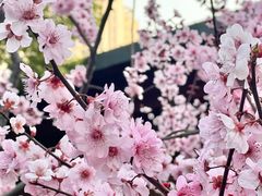 -静安雕塑公园