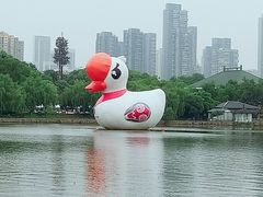 -东湖磨山景区