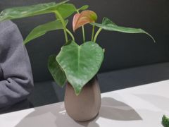 -眉州东坡(印象城购物中心店)