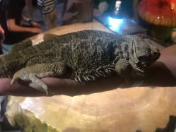 -酷嗒动物文化乐园(cutezoo西溪乐天城店)