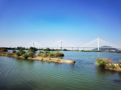 -芒洲湿地公园