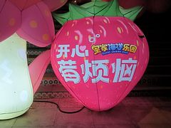 -皇家海洋乐园