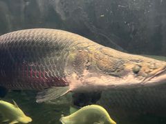 -青青世界