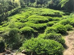 -会稽山峡洞漂流-上青古道