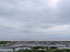 -南汇新城海滩
