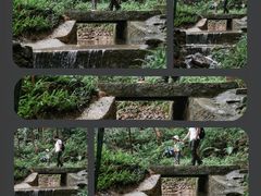 -黄埔油麻山森林公园