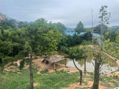 -西霞口神雕山野生动物世界