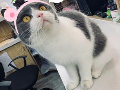 -全心全意连锁动物医院(石景山店)