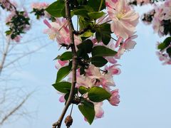 -中华石雕艺术园