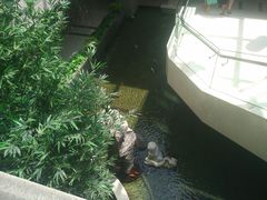 -海天一色海景自助餐厅(西港花园店)