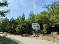-白水寺森林公园