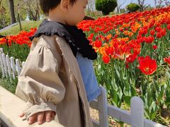 -廊坊文化艺术中心