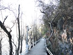 -南诏风情岛