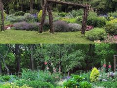 -上海共青森林公园