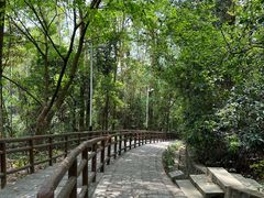 -水濂山森林公园