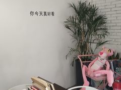 -有猫主题·治愈系猫咖(曾厝垵店)