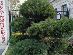 -上海市控江中学