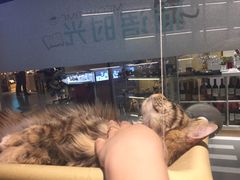 -小时光咖啡馆(开森度假森林店)