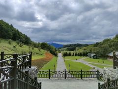 -云岭野山参风景区