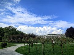 -中国西峡恐龙遗迹园