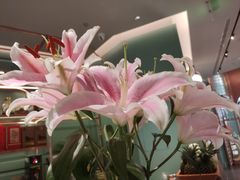 -南堂馆·新川菜(春熙路店)