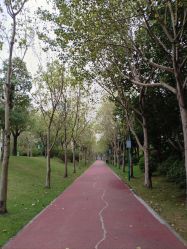 -广州市儿童公园