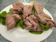 -丁老爷子苏香圆