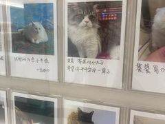 -御宝贝24h宠物医院·转诊中心·CT核磁血透中心(厦门总院)