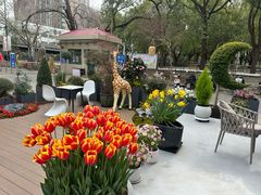 -双季花艺园艺市场(浦东店)