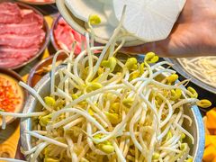 -阳阳老火锅(小南门店)