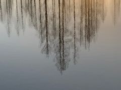 -黄海国家森林公园