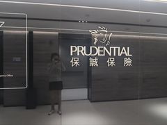 -保诚保险