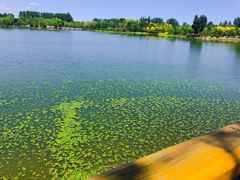 -东郊湿地公园