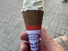 -富豪雪糕车流动点(尖沙咀店)