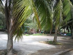 -东郊椰林