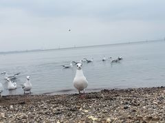 -捞渔河湿地公园