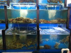 水产区-老东镇啤酒屋海鲜加工·蒸汽海鲜·海鲜烧烤(台东店)