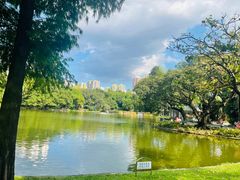 -晓港公园