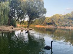 -石家庄市动物园