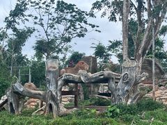 -海南热带野生动植物园