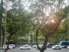 -星巴克臻选(南京艾尚天地店)