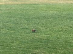 -逸廊大堂吧(三亚海棠湾万丽度假酒店)