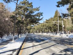 -东北大学(南湖校区)