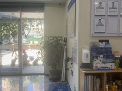 -芭比堂动物医院·24小时·眼科中心(深圳中心)