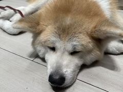 -YCHL Studios健身工作室(市二宫店)