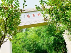 -竹子庵公园