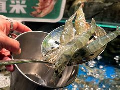 -亚马逊蒸汽活海鲜自助(LCM置汇旭辉广场店)