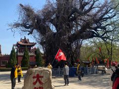-大槐树寻根祭祖园